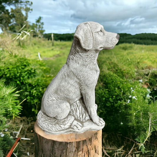 Großer Labrador Charly: Massiver Steinguss, 23+kg, 49x33x19cm - Frostsicher & Witterungsbeständig