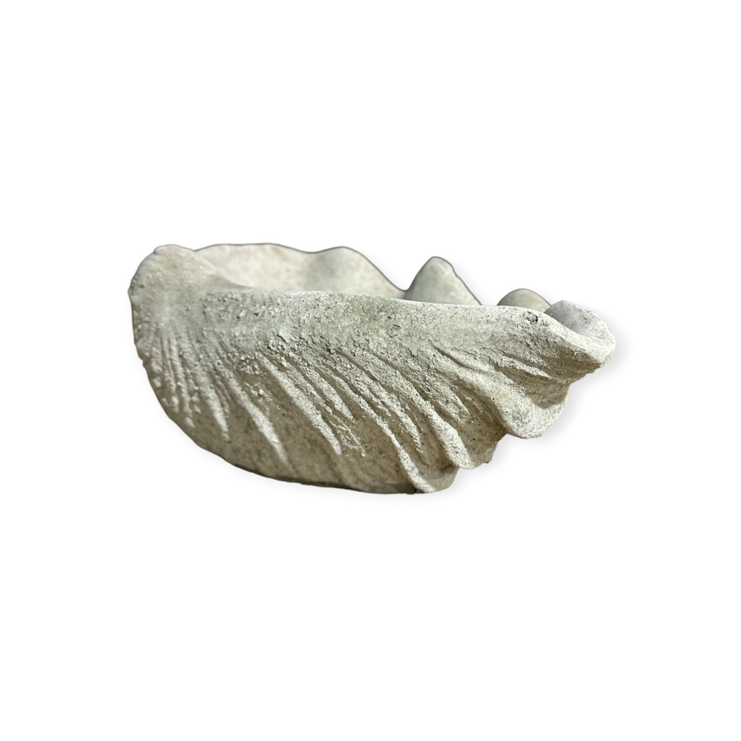 Vogeltränke Muschel - Handgefertigt aus frostresistentem Beton (Höhe 13cm / Breite 39cm / Tiefe 26cm)