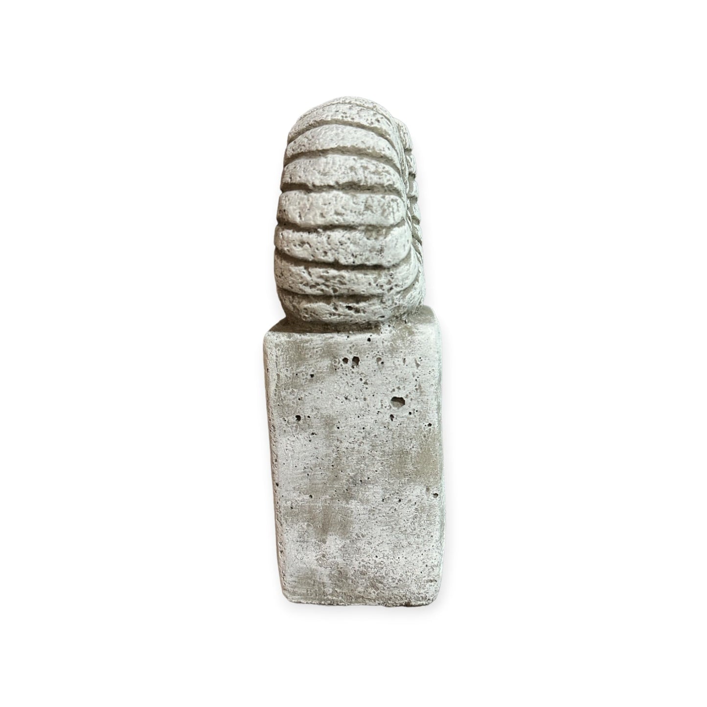 Ammonit auf Säule in Grau: Massiver Steinguss, 4kg, 27x14x9 cm, Frostsicher
