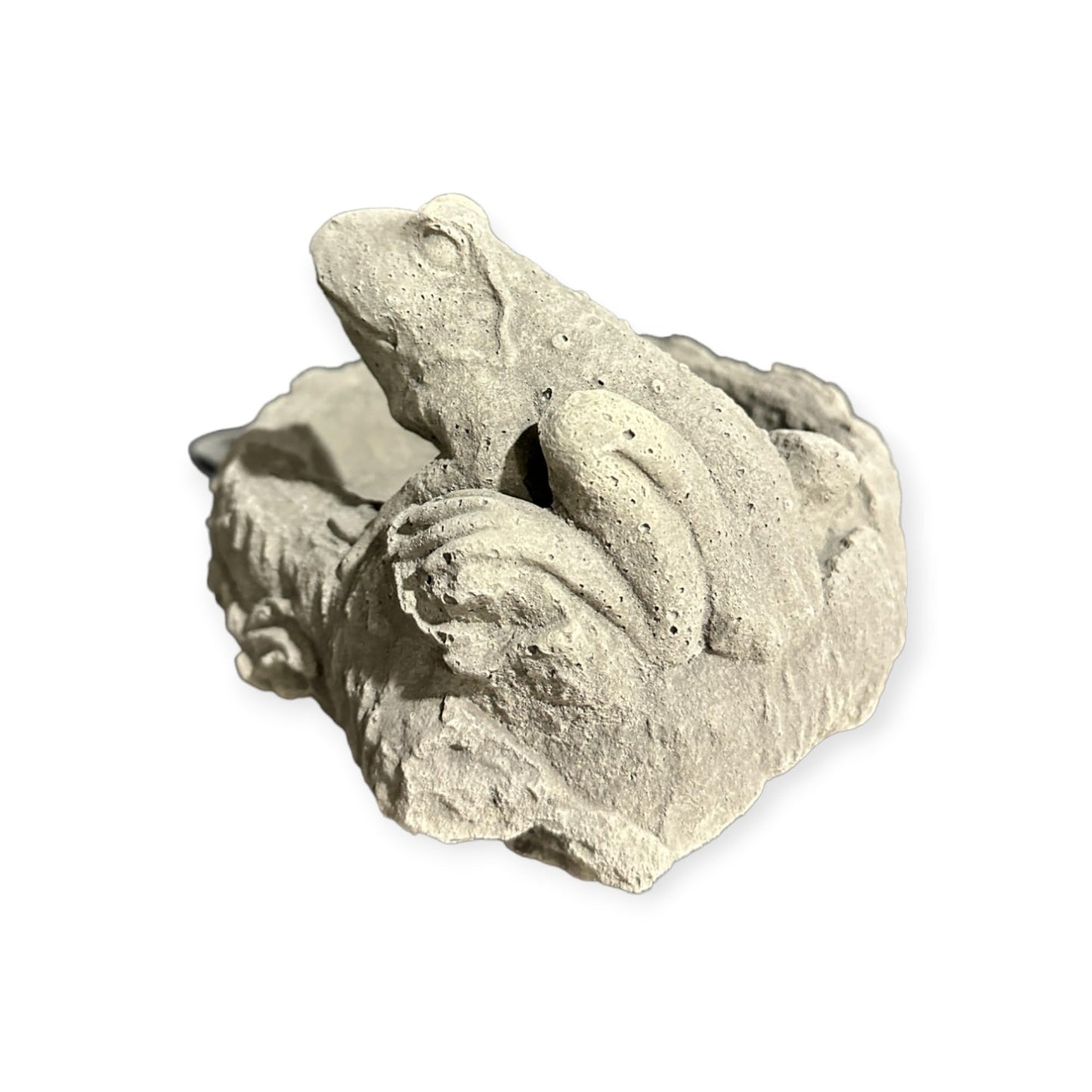 Vogeltränke mit sitzendem, realistisch gestaltetem Frosch (3 kg, 14/23/19 cm)