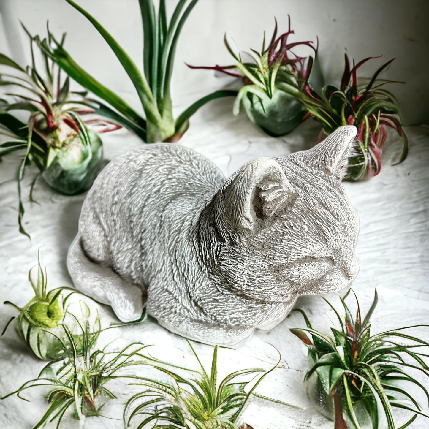 Steinfigur Katze Mia für Garten und Terrasse aus frostsicherem Steinguss…