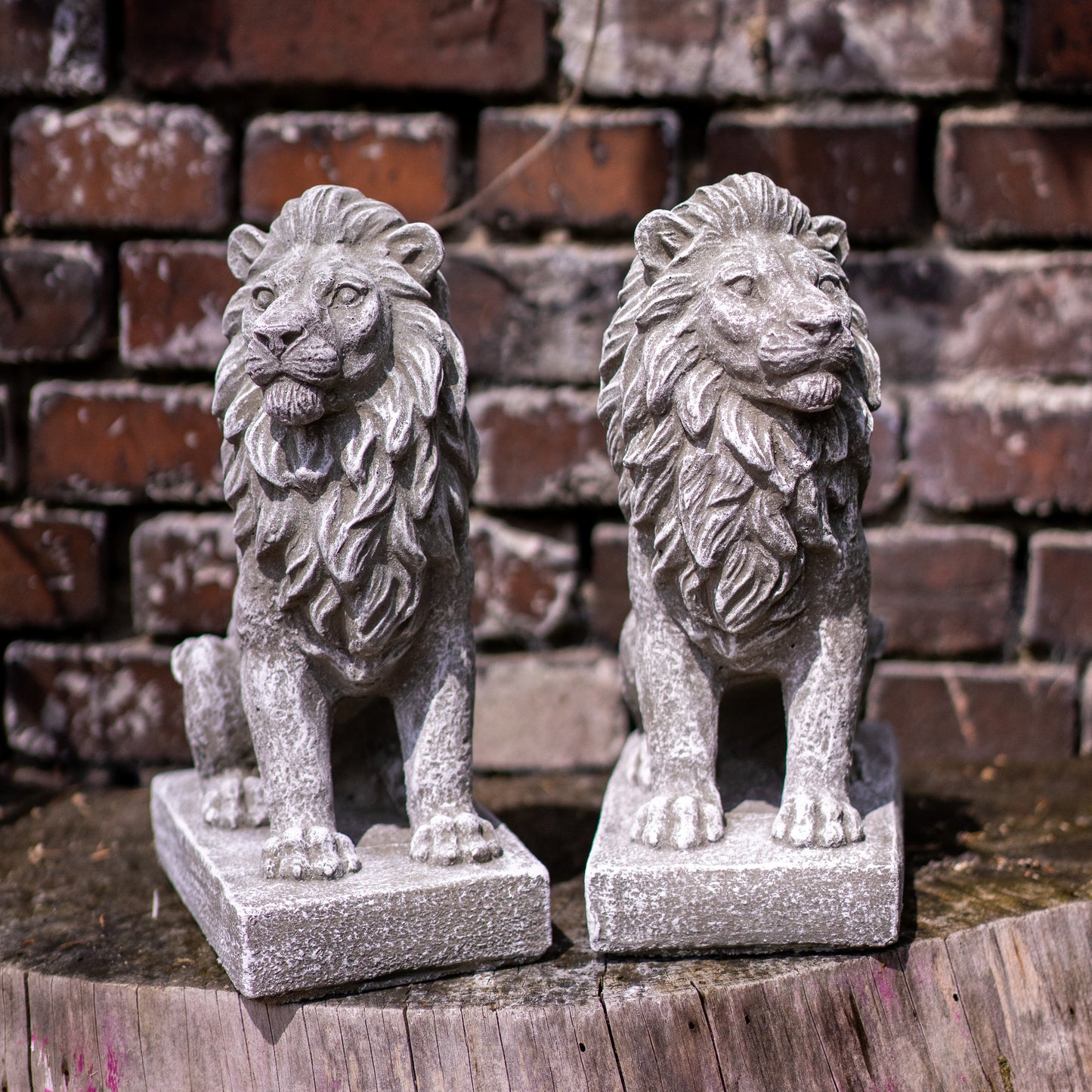 Löwenfigur auf Sockel 2er Set – Handgefertigte Steinfiguren – Frostfest & Wetterfest – Majestätische Gartendeko