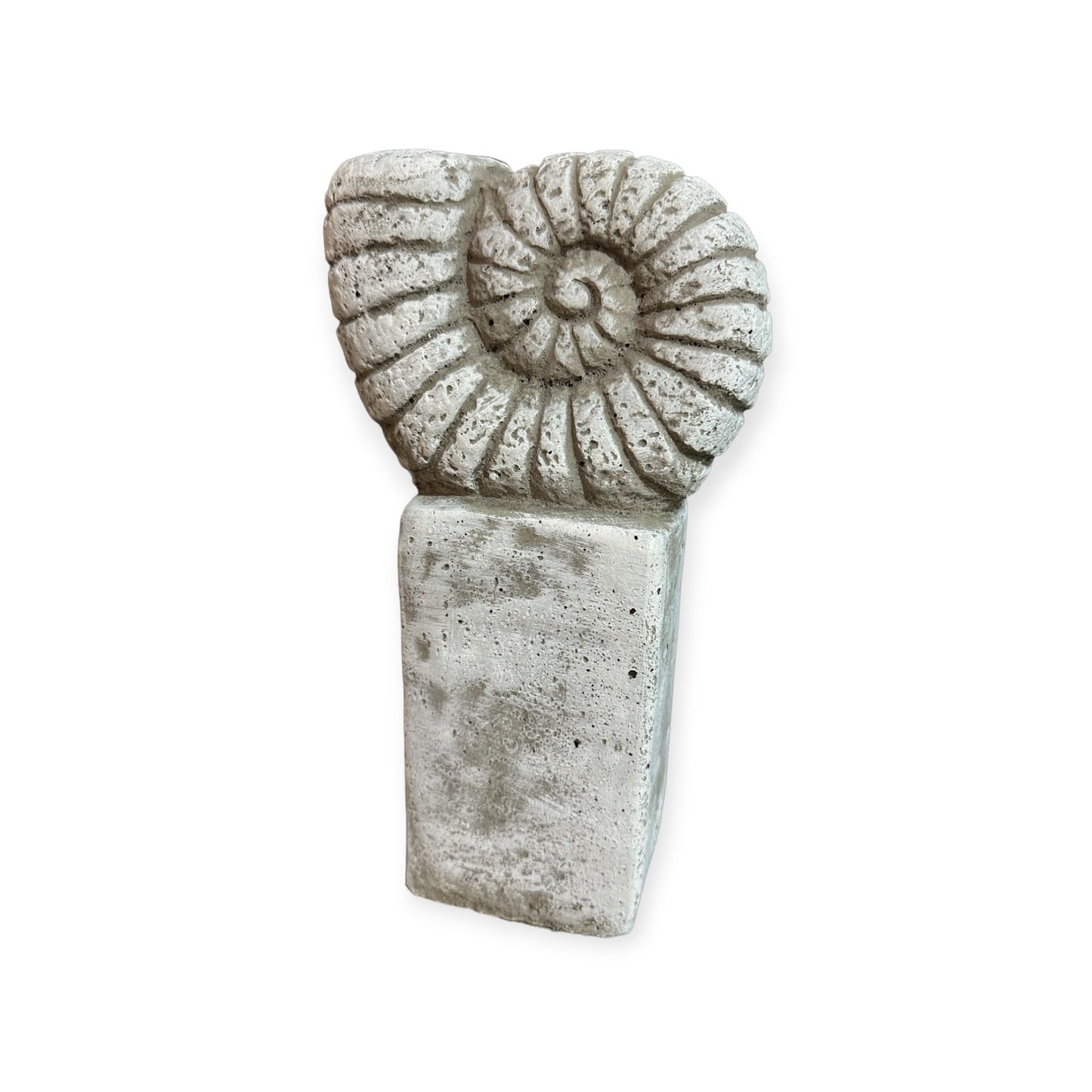 Ammonit auf Säule in Grau: Massiver Steinguss, 4kg, 27x14x9 cm, Frostsicher