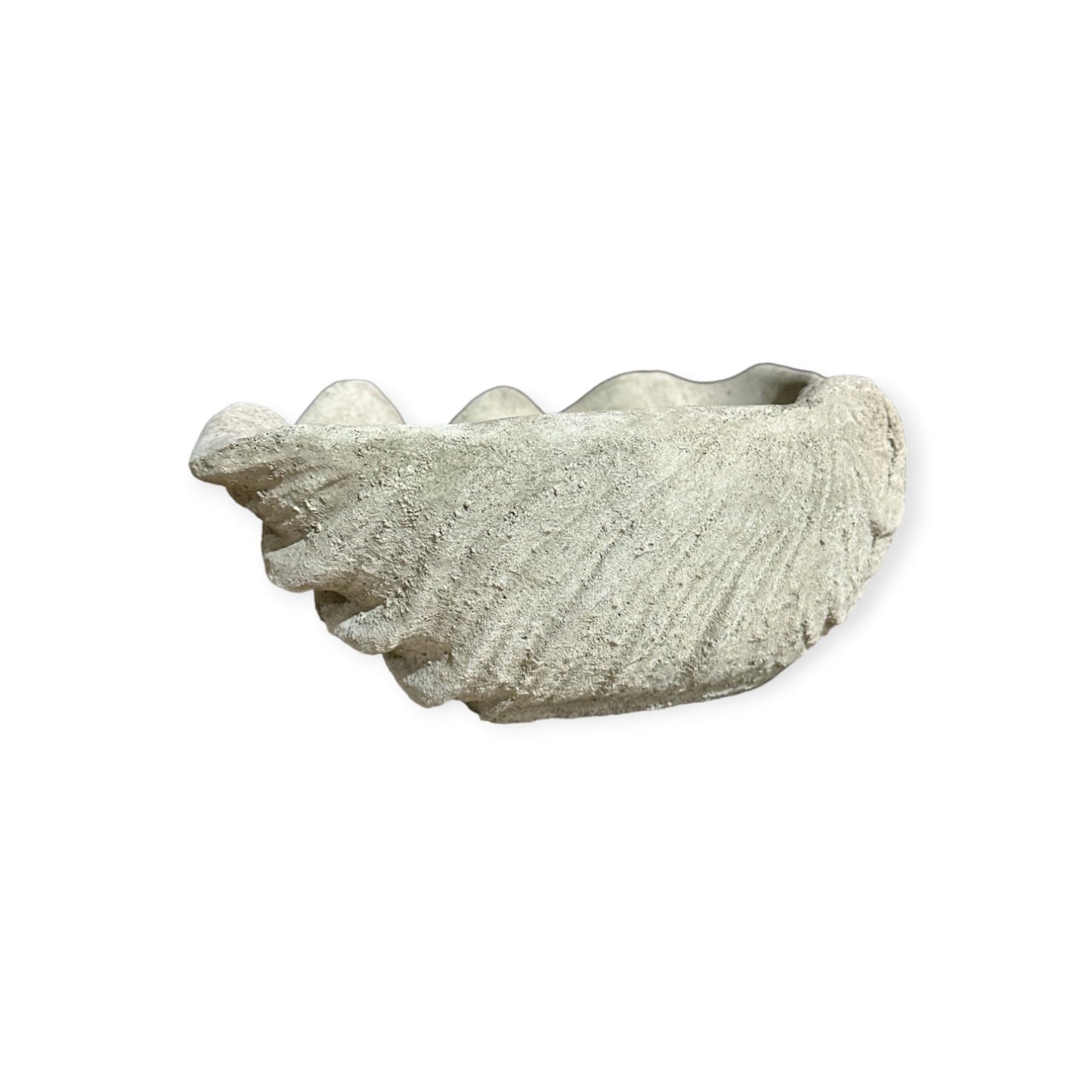 Vogeltränke Muschel - Handgefertigt aus frostresistentem Beton (Höhe 13cm / Breite 39cm / Tiefe 26cm)