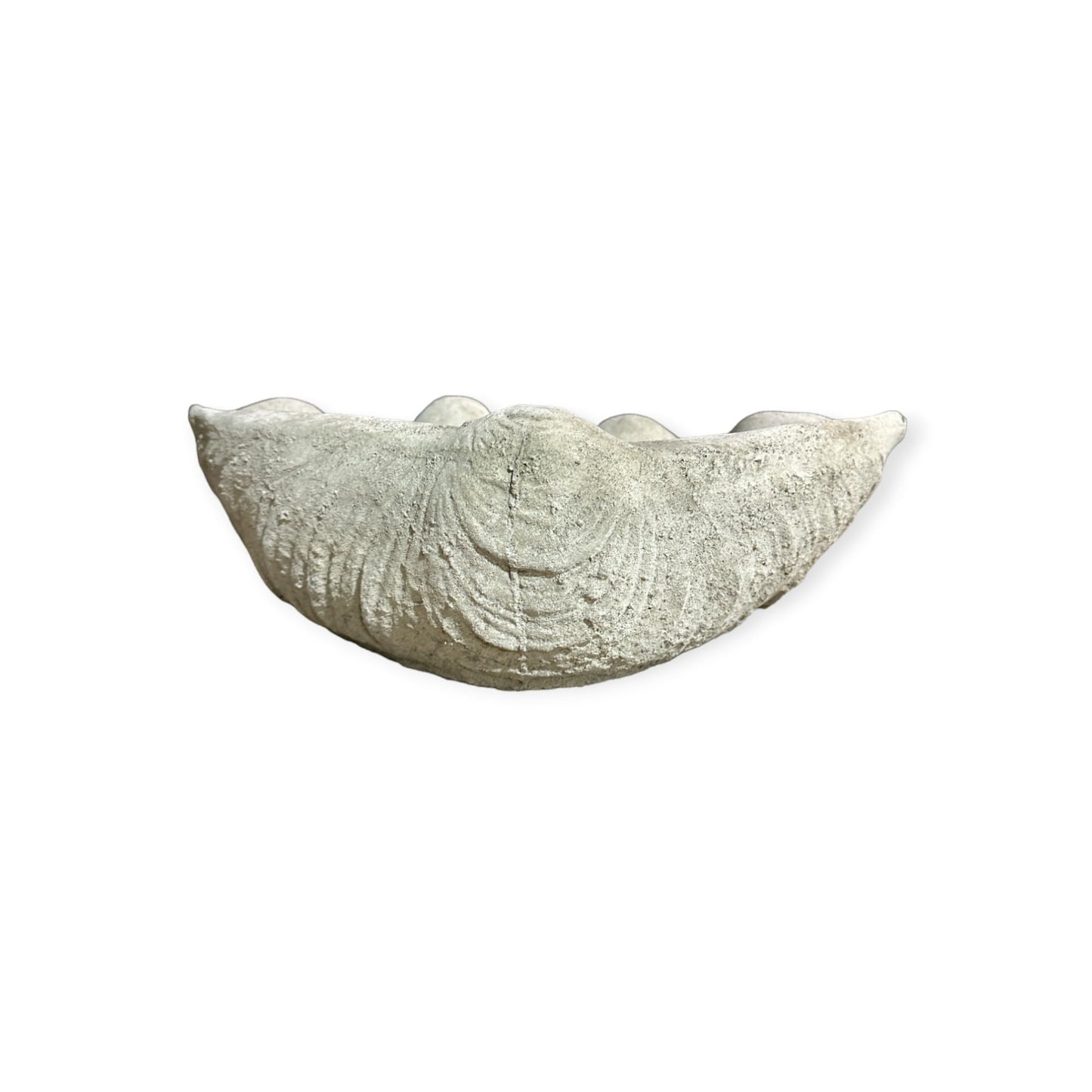 Vogeltränke Muschel - Handgefertigt aus frostresistentem Beton (Höhe 13cm / Breite 39cm / Tiefe 26cm)