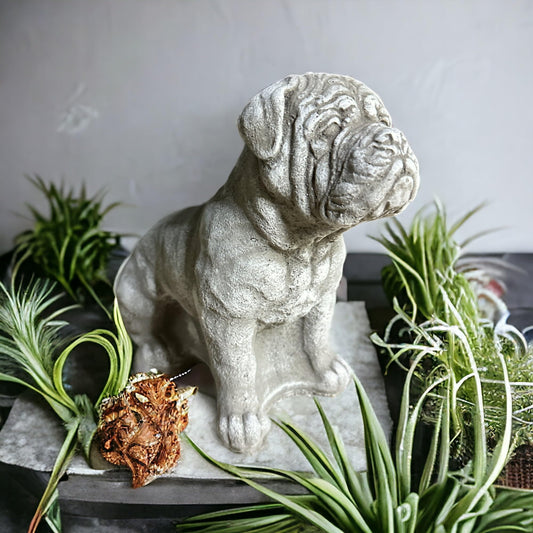 Bordeauxdogge Steinfigur: Massiver Steinguss, 5kg, 24x24x13 cm, Frostsicher