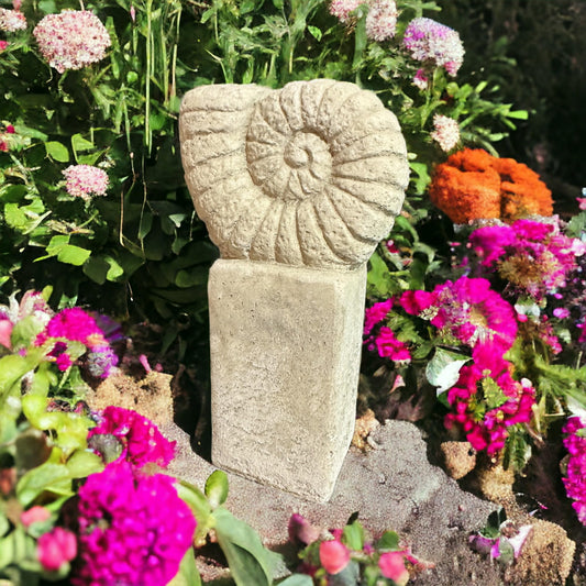 Ammonit auf Säule: Massiver Steinguss, 4kg, 27x14x9 cm, Frostsicher