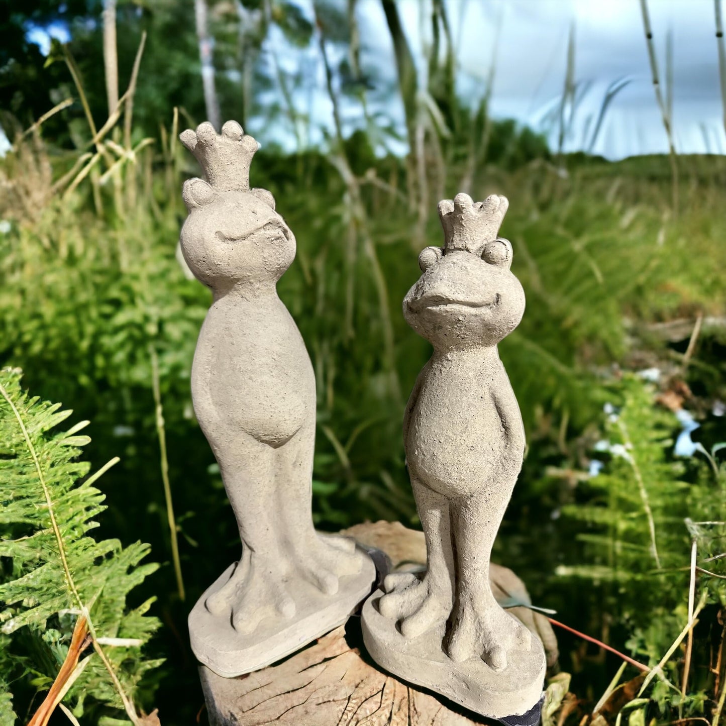 Frösche Eddy als 2er Set - Frostsicher aus eigener Produktion