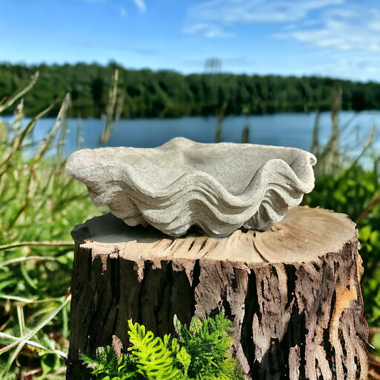 Vogeltränke Muschel - Handgefertigt aus frostresistentem Beton (Höhe 13cm / Breite 39cm / Tiefe 26cm)