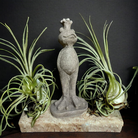 Steinfigur - Frosch Eddy mit Krone Höhe 42cm und 3,7kg schwer - Frostsicher aus eigener Produktion für Haus und Garten