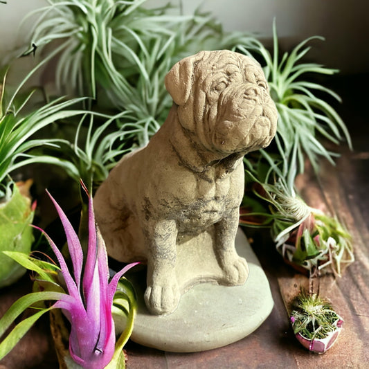 Bordeauxdogge Steinfigur: Massiver Steinguss, 5kg, 24x24x13 cm, Frostsicher