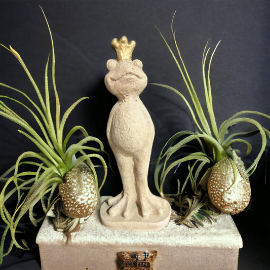 Frosch Eddy mit Goldener Krone Höhe 42cm und 3,7kg schwer - Frostsicher aus eigener Produktion