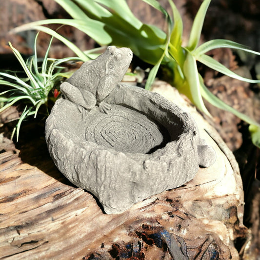 Vogeltränke mit sitzendem, realistisch gestaltetem Frosch (3 kg, 14/23/19 cm)